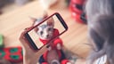 Frau macht ein Foto mit ihrem Smartphone von ihrer Nacktkatze im Kostüm