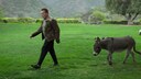 Arnold Schwarzenegger ist seit langem nicht mehr nur als Actionheld und Politiker bekannt, sondern auch als gro&szlig;er Tierfreund