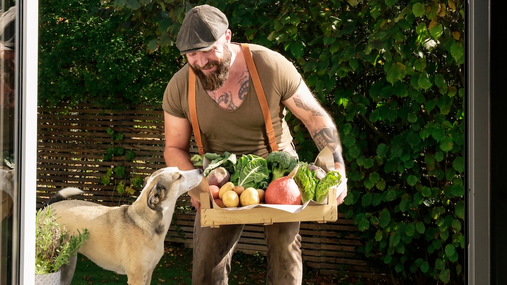 Ein Mann lässt den Hund an seinem geernteten Gemüse schnuppern