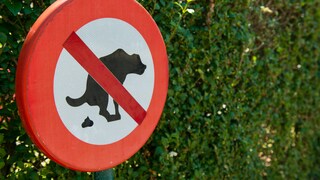 Ein Schild verbietet Hunden, auf die Wiese zu machen