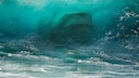 Ein großer weißer Hai schwimmt in einer meterhohen Welle