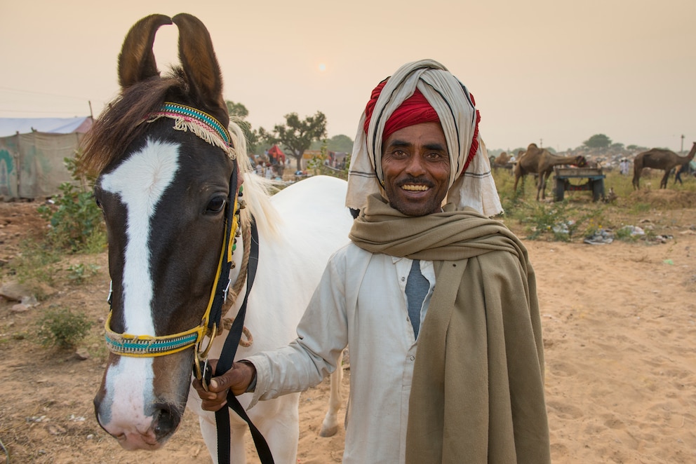 Ein Pferdehändler mit einem Marwari-Pferd im indischen Rajasthan