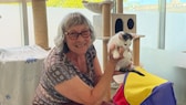 Petra S. ist eine von 150 ehrenamtlich tätigen Katzenstreichlern im Tierheim Berlin. Aktuell ist sie vor allem auf der Mutter-Kind-Station im sogenannten Schillow-Haus