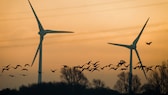 Windräder bei Sonnenuntergang mit Vögeln