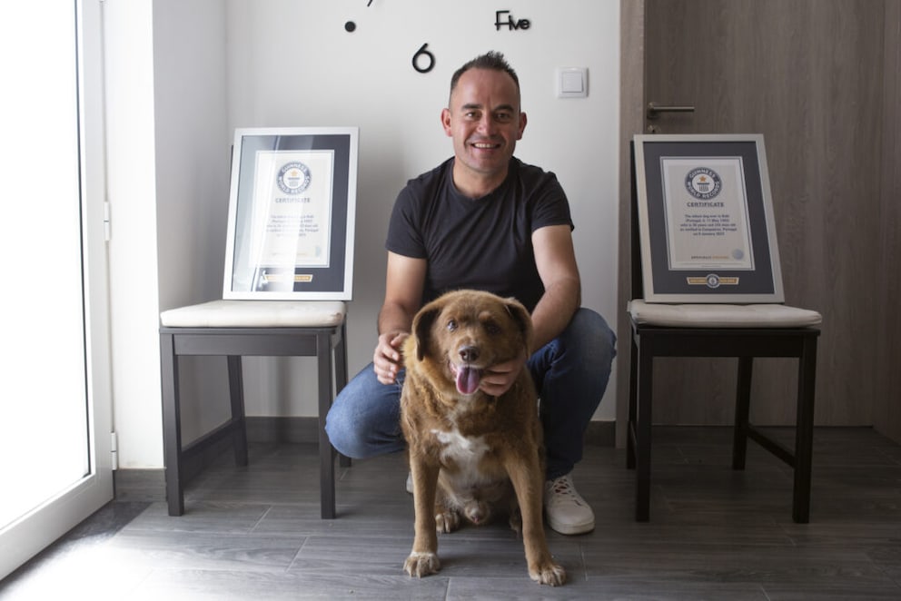 Bobi with his owner Leonel Costa in front of his two world record certificates