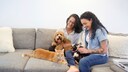 Ein Pärchen kuschelt mit Hunden, während eine Katze danebenliegt