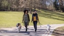 Zwei Frauen gehen mit ihren Hunden im Park spazieren