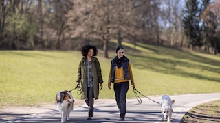 Zwei Frauen gehen mit ihren Hunden im Park spazieren