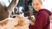 Bei einigen Tierpatenschaften ist es möglich, dass die Paten auch Zeit mit ihren tierischen Schützlingen verbringen können.