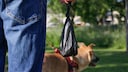 Besitzer, der mit dem Hund Gassie geht und einen gefüllten Kotbeutel trägt
