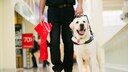 Blindenführhund mit Halter im Einkaufszentrum