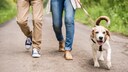Hund an der Leine mit zwei Menschen bei einem Spaziergang auf einem Weg