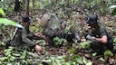 Indoneische Pfleger mit dem neugeborenen Sumatra-Nashorn und seiner Mutter