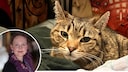 Fotocollage aus einem Bild von Katze Nairobi und PETBOOK-Redakteurin Saskia Schneider