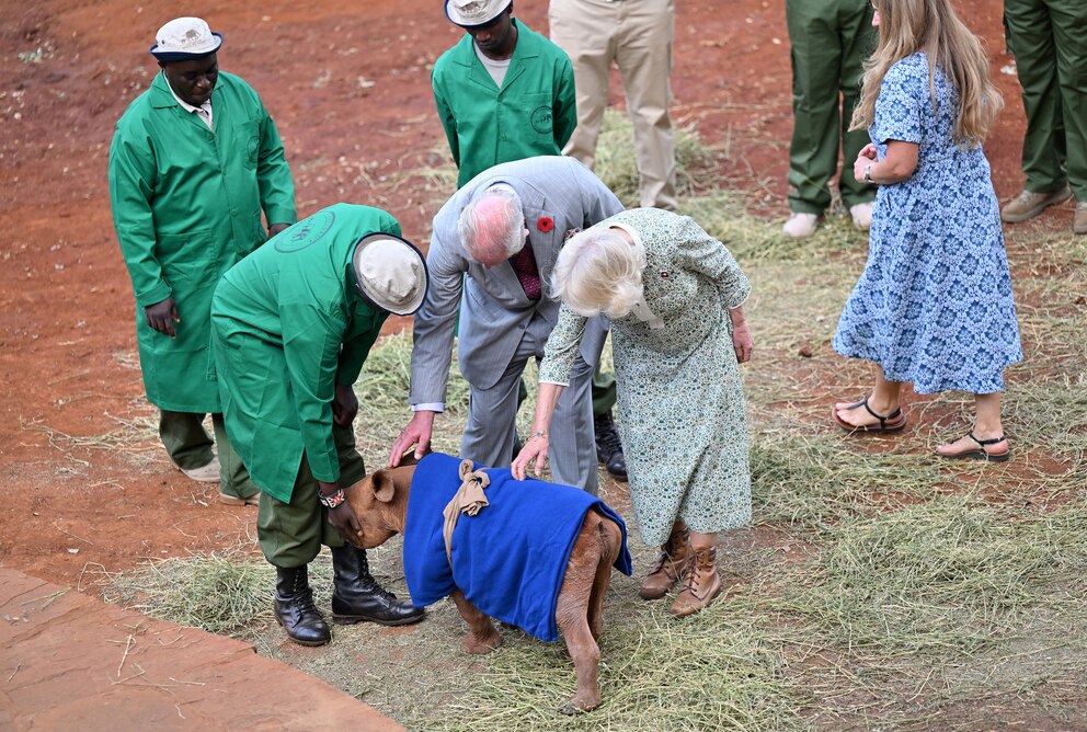 Charles und Camilla streicheln ein Nashorn