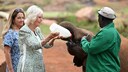 Königin Camilla (r.) füttert mit Hilfe von Tierpflegern einen Baby-Elefanten in Kenia
