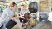 Bei der Vorkontrolle wird geschaut, ob Hunde oder Katzen aus dem Tierheim in ihrem potenziellen neuen Zuhause gut aufgehoben sind. 