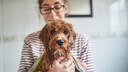 Besitzerin mit nassen Hund auf dem Arm, um den ein Handtuch gewickelt ist