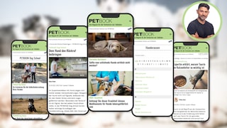 Neuer Look PETBOOK
