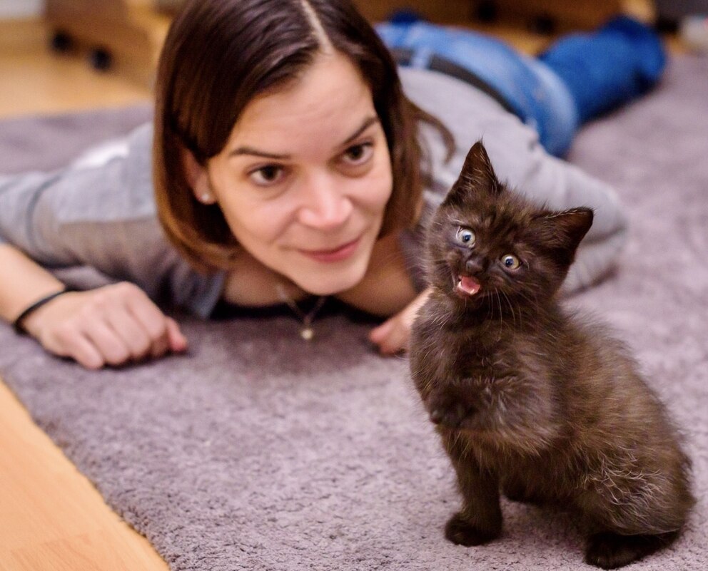 Katzen-Mama Katja Krause betreibt mit ihren drei Vierbeinern den „Fluff Twins“-Kanal. In diesem Jahr sind sie für den „Petfluencer Award“ nominiert. 