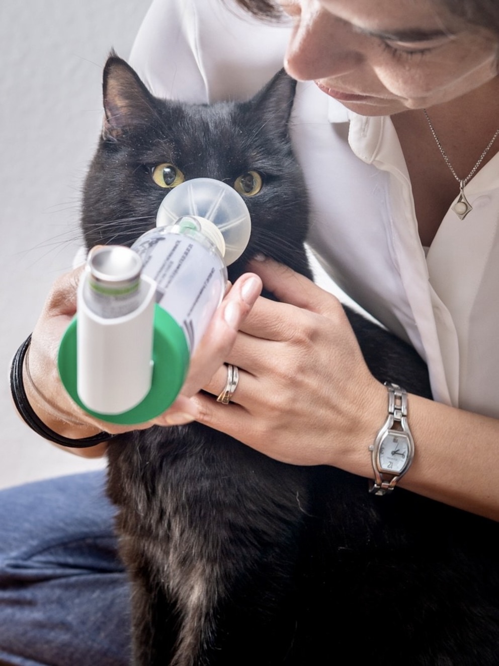 Die Catfluencer Leeno &amp; Poncha leiden zwar an Asthma, aber dank gutem Training haben sie ein gutes Verhältnis zu ihrem Inhalator.