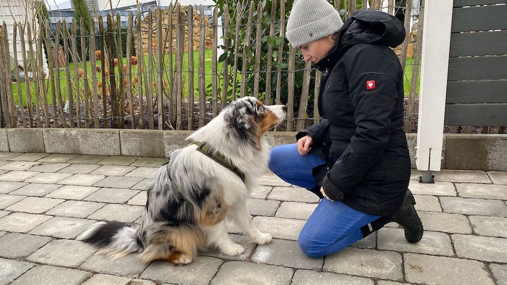 Jundhund Elvis und Halterin Manuela Lieflaender schauen sich an