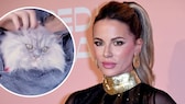 Schauspielerin Kate Beckinsale trauert um ihren verstorbenen Kater Clive. 