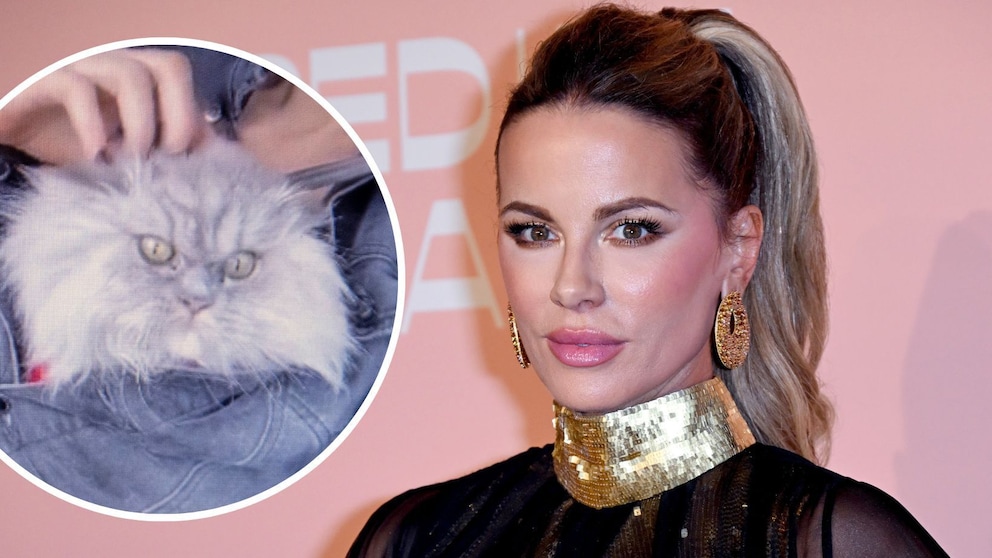 Schauspielerin Kate Beckinsale trauert um ihren verstorbenen Kater Clive. 