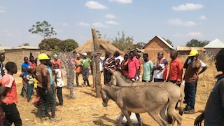 Zwei Esel in Tansania ziehen in ihr neues Gehege ein