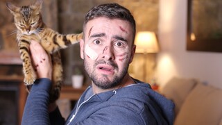 Man mit zerkratztem Gesicht hält Katze von sich weg