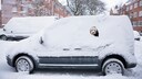 Portugiesischer Wasserhund schaut durch ein Fenster eines schneebedeckten Autos