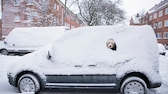 Portugiesischer Wasserhund schaut durch ein Fenster eines schneebedeckten Autos