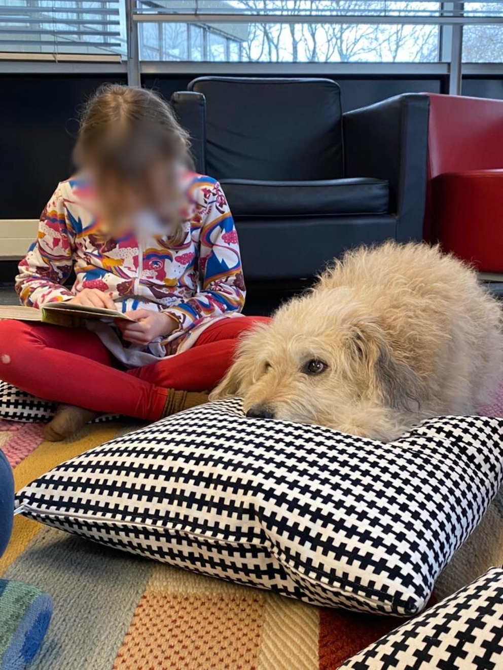 Ihm lesen die Kinder besonders gerne vor. Lesehund Rudi Rakete ist ein geduldiger Zuhörer. 