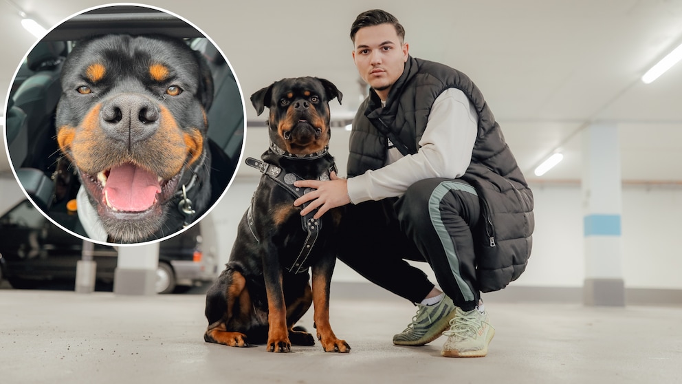 Vor Canelo hatte Shpetim keine Hundeerfahrung. Inzwischen ist er ein echter Hundeliebhaber und gehört zu den erfolgreichsten Petfluencern Deutschlands.  
