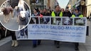 Mehr als 2500 Menschen gingen in Köln auf die Straße, um gegen die furchtbare Situation der spanischen Jagdhunde zu demonstrieren.