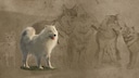Rekonstruktion des Aussehens des Coast Salish Woolly Dog, des Wolle tragenden Hundes