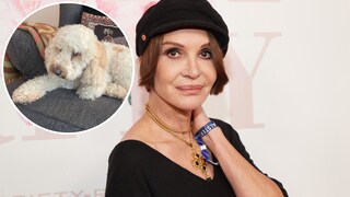 Schauspielerin Anouschka Renzi lebt mit Familienhund Cooper unter einem Dach. Seinen Namen verdankt der Cockapoo einem Oscar-prämierten Film. 
