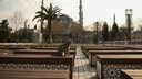 Eine Katze vor der Hagia Sofia in einem menschenleeren Istanbul
