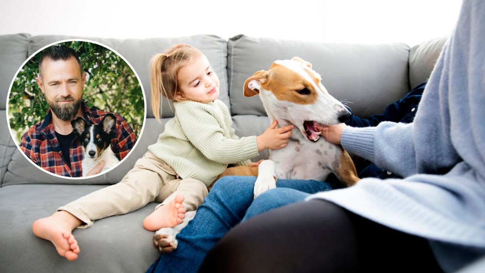 Hund schnappt: Das rt Hundetrainer Andr Vogt - PETBOOK