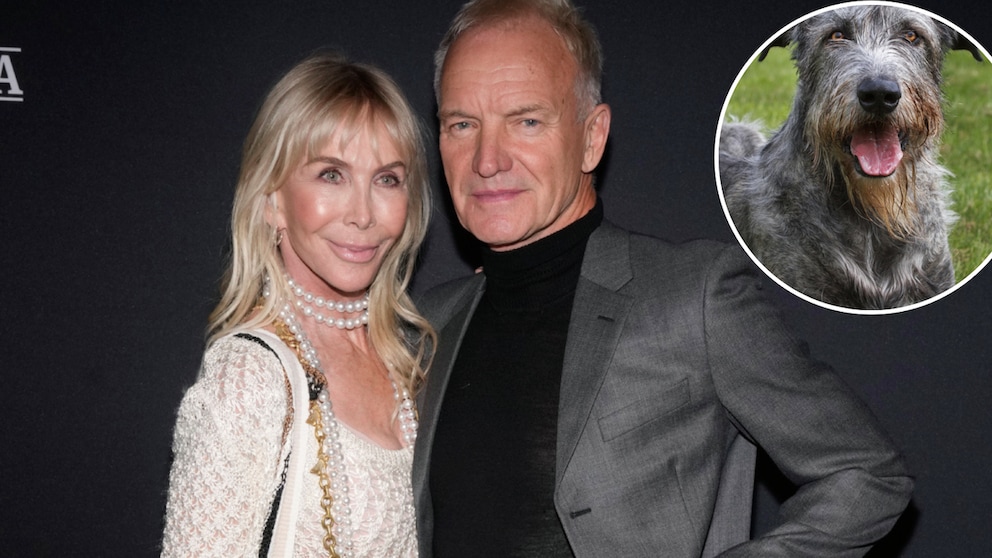 Sting und Frau Trudie Styler Collage mit Bild von Irischem Woflshund