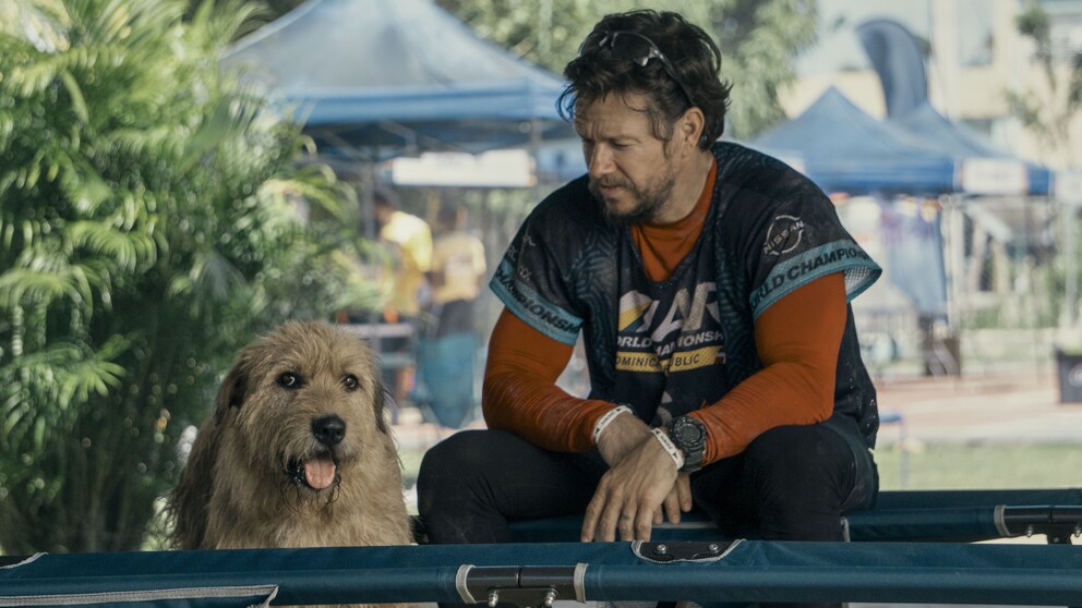 Filmhund Ukai mit Schauspieler Mark Wahlberg am Set von Arthur der Große