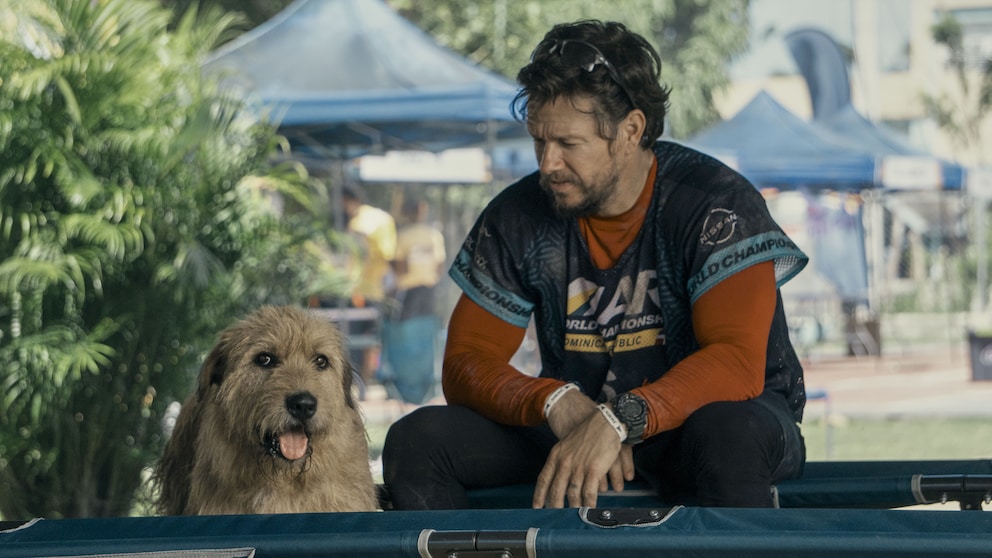 Filmhund Ukai mit Schauspieler Mark Wahlberg am Set von Arthur der Große