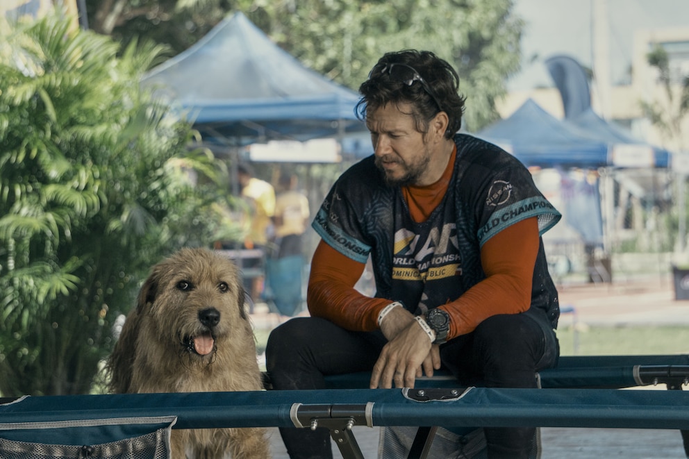 Filmhund Ukai mit Schauspieler Mark Wahlberg am Set von Arthur der Große