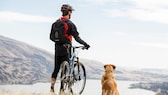 Ein Hund und ein Fahrradfahrer schauen in ein Tal hinab