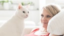 Weiße Katze sitzt auf ihrer Besitzerin, die auf der Couch liegt