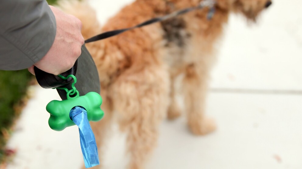 Hundehalter Dinge dabeihaben