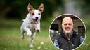 Kollage aus rennendem Hund und Portr&auml;tbild von Hundetrainer Thomas Baumann