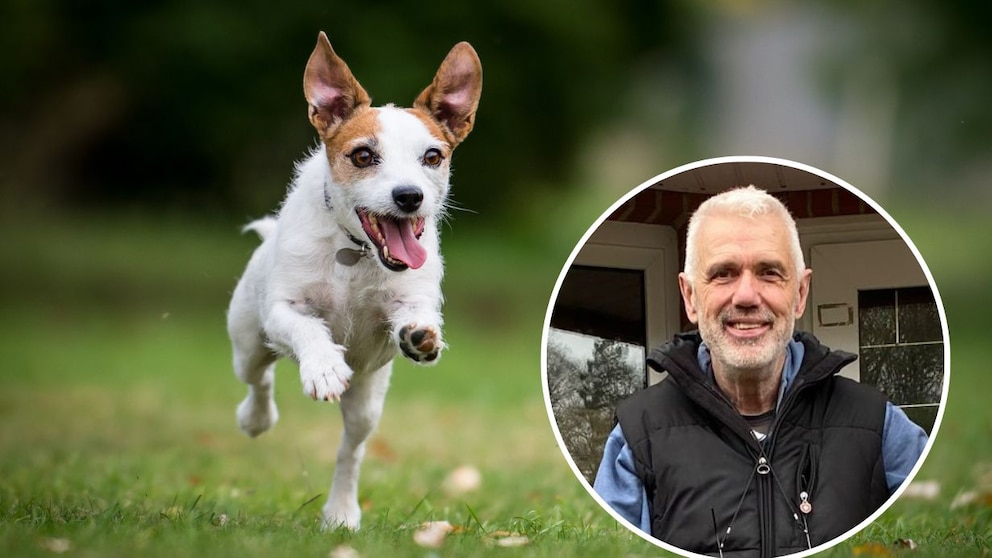 Kollage aus rennendem Hund und Porträtbild von Hundetrainer Thomas Baumann