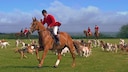 Tierleid England