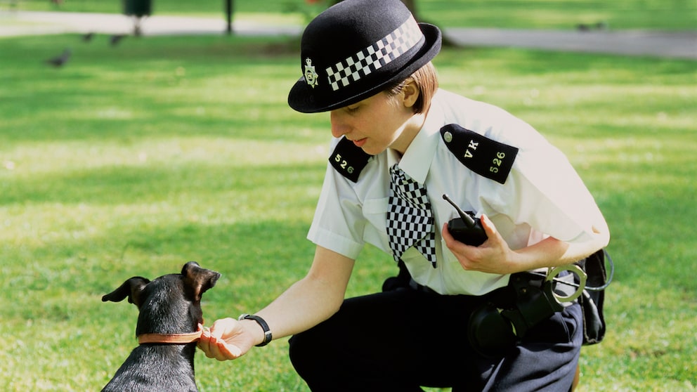 Polzeibeamtin in London beugt sich über einen Hund, um dessen Marke zu überprüfen